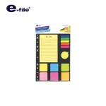 Index Notes e-file