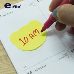 Sticky Notes e-file