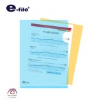 Document Pocket e-file