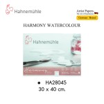 สมุดวาดสีน้ำ 300 แกรม COLD PRESSED Hahnemuhle HA28040,HA28041,HA28045