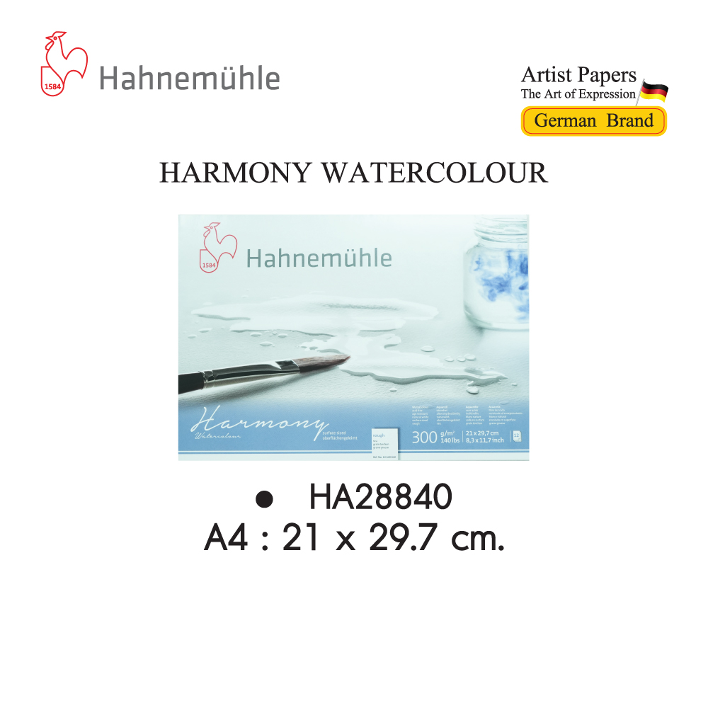 สมุดวาดสีน้ำ 300 แกรม ROUGH Hahnemuhle HA28840,HA28841,HA28845