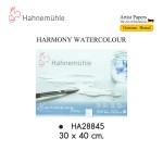 สมุดวาดสีน้ำ 300 แกรม ROUGH Hahnemuhle HA28840,HA28841,HA28845