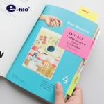 Sticky Notes e-file