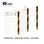 DIARY 2027 e-file