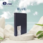 DIARY 2027 e-file