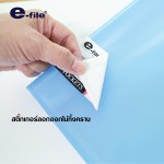 Clear Holder 40 Pockets e-file