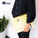 แฟ้มโชว์เอกสาร 20 ซอง ปกสอด e-file