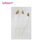 Beautiful Bird Feathers La'Boom LBDC17S